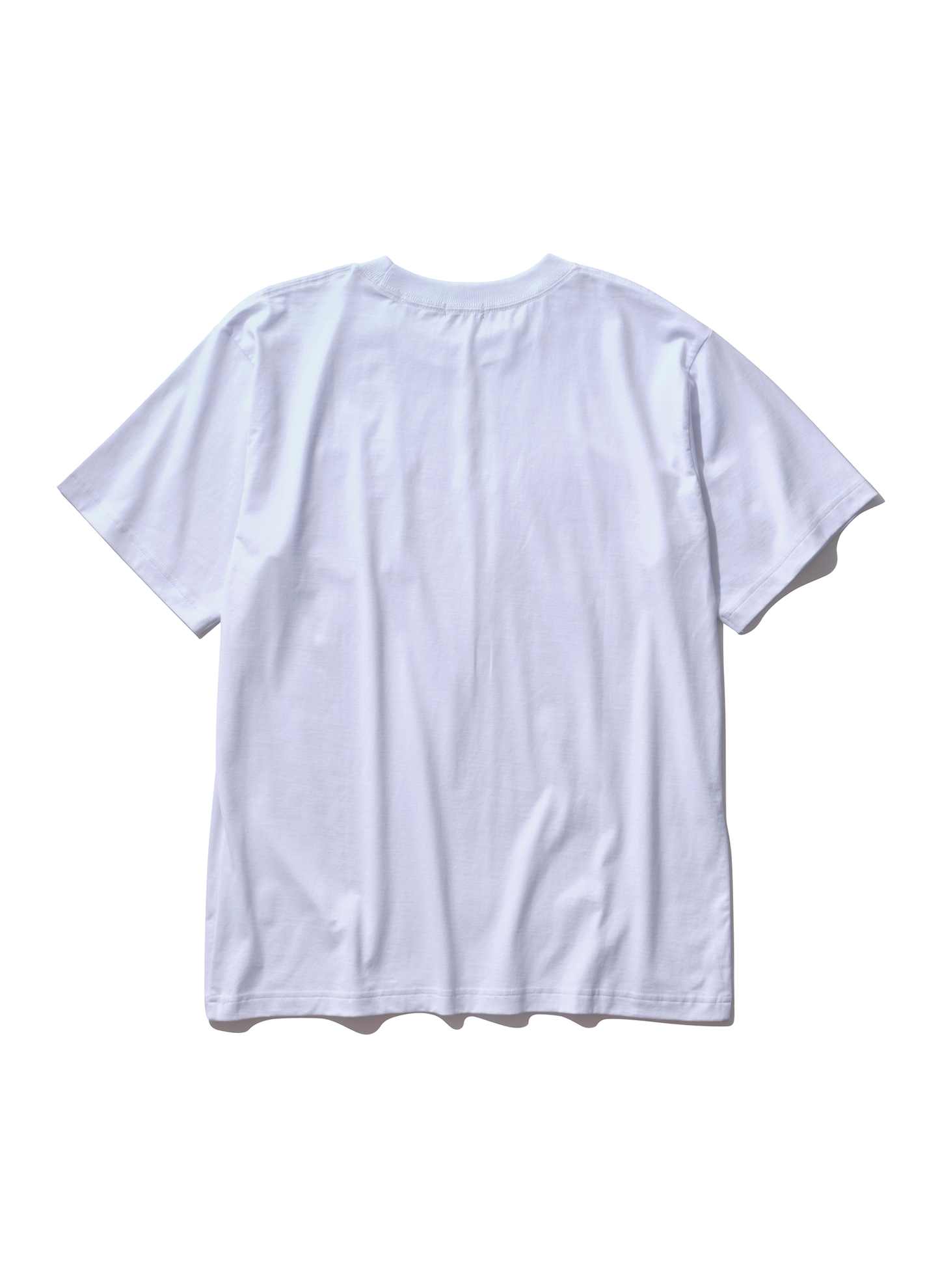 DIRTY WILLY POCKET T